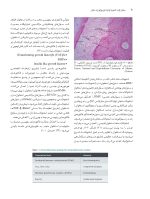 ortho peryo_Page_09 بیماران ارتو-پریو شواهد بالینی و راهنمای درمان - Image 10