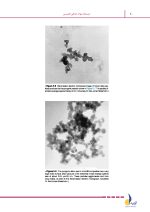 درسنامه مواد دندانی (فیلیپس-کریگ) (رفرنس آزمون سال های گذشته) - Image 6