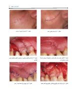 Pages from مبانی_دندانپزشکی_ایمپلنت_زیبایی_نهایی1_Page_09 مبانی دندانپزشکی ایمپلنت زیبایی - Image 9