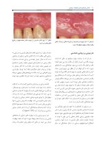 Pages from مبانی_دندانپزشکی_ایمپلنت_زیبایی_نهایی1_Page_10 مبانی دندانپزشکی ایمپلنت زیبایی - Image 10