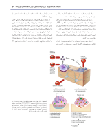 استئونکروز فکین ناشی از مصرف داروها - Image 13