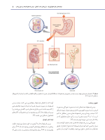 استئونکروز فکین ناشی از مصرف داروها - Image 10