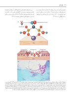 استئونکروز فکین ناشی از مصرف داروها - Image 11