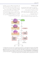 استئونکروز فکین ناشی از مصرف داروها - Image 12