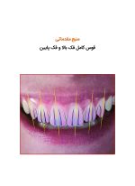 آناتومی دندان های قدامی و علم لبخند طبیعی - Image 6