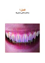 آناتومی دندان های قدامی و علم لبخند طبیعی - Image 9