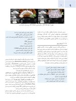 اصول جراحی دهان، فک و صورت پیترسون 2022 (جلد اول) - Image 10