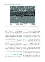 بیوسرامیک ها در اندودانتیکس بالینی - Image 14