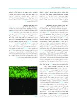 بیوسرامیک ها در اندودانتیکس بالینی - Image 15