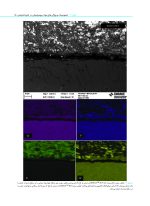 بیوسرامیک ها در اندودانتیکس بالینی - Image 16