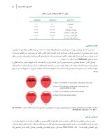 جراحی دندان عقل نهفته - Image 13