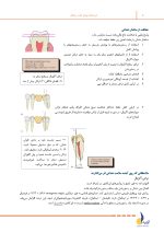 درسنامه پروتز ثابت رزنتال 2023 همراه با فیلم تدریس - Image 6