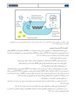 نانومواد در دندانپزشکی - Image 10