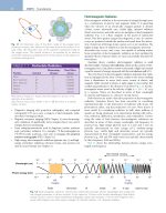 White and Pharoah's ORAL RADIOLOGY Principles and Interpretation 2026 - Image 3