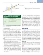 White and Pharoah's ORAL RADIOLOGY Principles and Interpretation 2026 - Image 4