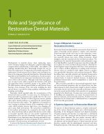 Craig’s RESTORATIVE DENTAL MATERIALS 2026 - Image 7