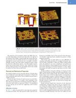 Craig’s RESTORATIVE DENTAL MATERIALS 2026 - Image 8