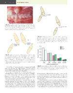 Contemporary Orthodontics 2026 (Proffit) SEVENTH EDITION - Image 6