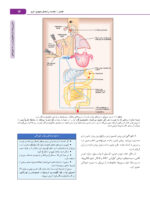 ضروریات فارماکولوژی در دندانپزشکی - Image 4