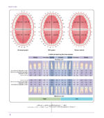 کیس های بالینی در اندودانتیکس - Image 6