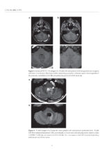 Clinical Advances in Head and Neck Imaging including Dentistry 2024 - Image 2