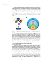 Zirconia and Innovative Biomaterials for Dental and Biomedical Applications 2023 - Image 7