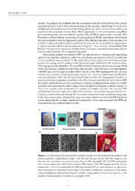 Zirconia and Innovative Biomaterials for Dental and Biomedical Applications 2023 - Image 8