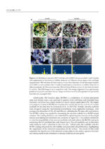 Zirconia and Innovative Biomaterials for Dental and Biomedical Applications 2023 - Image 9