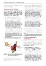 Transalveolar Extraction of the Mandibular Third Molars 2023 - Image 6