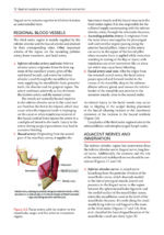 Transalveolar Extraction of the Mandibular Third Molars 2023 - Image 6