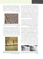 علم و هنر در دندانپزشکی ترمیمی 2026  جلد اول - Image 10