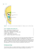 Impacted Third Molars 2024 - Image 11