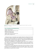 Impacted Third Molars 2024 - Image 7