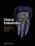 Clinical Endodontics 2024 - Image 4