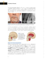 Clinical Endodontics 2024 - Image 2