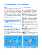 Dallas Rhinoplasty Nasal Surgery by the Masters (Fourth Edition) 2024 - Image 2