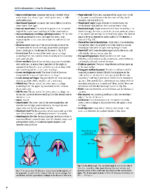 Dallas Rhinoplasty Nasal Surgery by the Masters (Fourth Edition) 2024 - Image 5