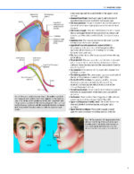 Dallas Rhinoplasty Nasal Surgery by the Masters (Fourth Edition) 2024 - Image 6