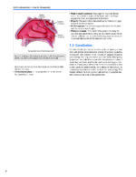 Dallas Rhinoplasty Nasal Surgery by the Masters (Fourth Edition) 2024 - Image 7