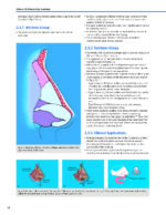 Dallas Rhinoplasty Nasal Surgery by the Masters (Fourth Edition) 2024 - Image 9