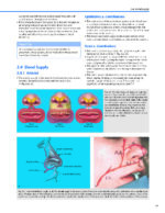 Dallas Rhinoplasty Nasal Surgery by the Masters (Fourth Edition) 2024 - Image 10