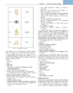 Scully’s Oral and Maxillofacial Medicine THE BASIS OF DIAGNOSIS AND TREATMENT  2023  (Fourth Edition) - Image 9