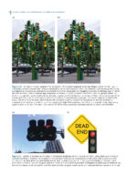 Dentofacial Orthopedics in the Growing Child 2023 - Image 10