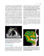 Dentofacial Orthopedics in the Growing Child 2023 - Image 11