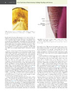 Sturdevant’s ART and SCIENCE of OPERATIVE DENTISTRY 2026 + Supplemental Online Chapters - Image 3