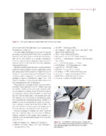 Digital Dentistry: A Step-by- Step Guide and Case Atlas 2022 - Image 4