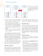 Essentials of Orthognathic Surgery 2022 - Image 8