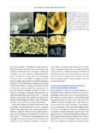 Horizontal and Vertical BONE AUGMENTATION for Dental Implant Therapy 2024 - Image 8