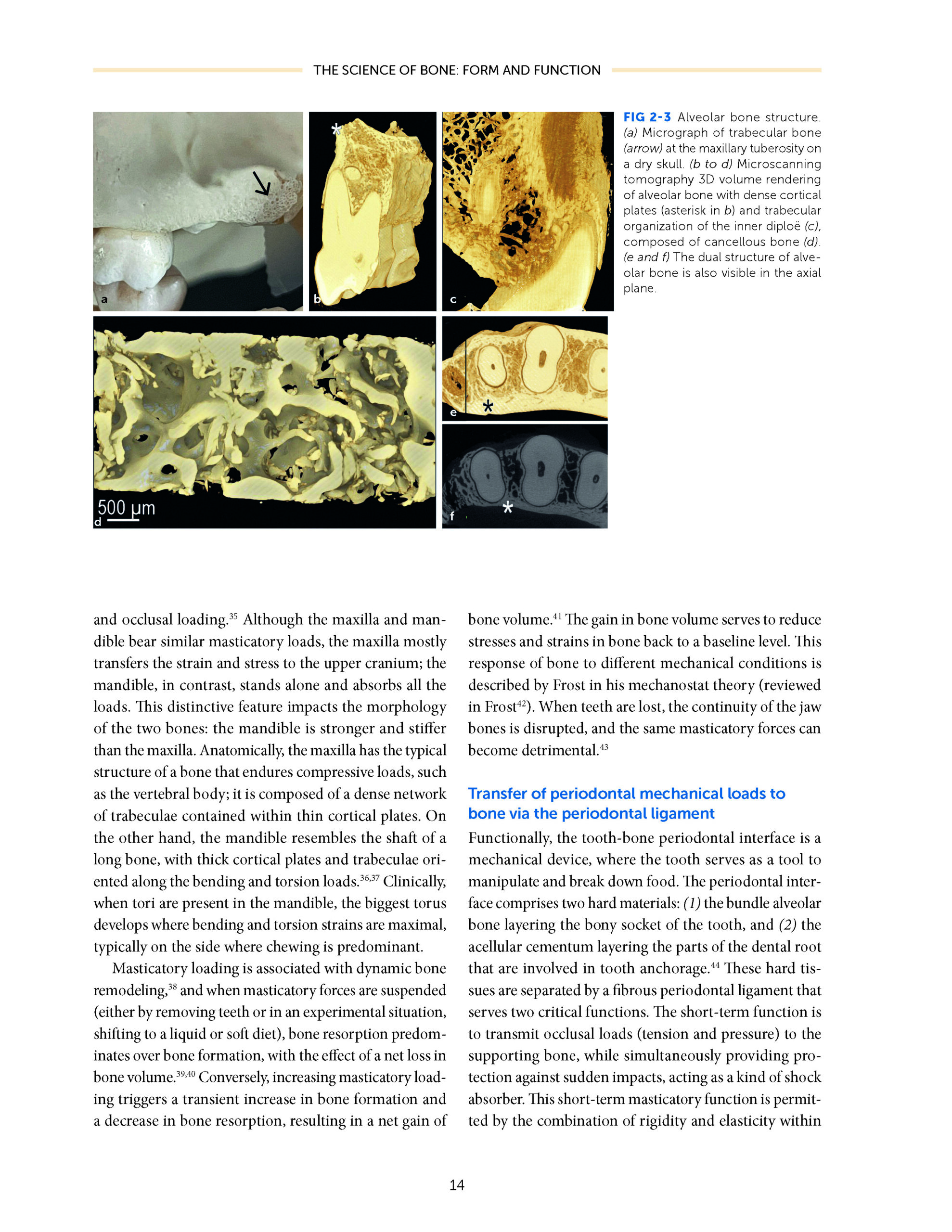 Horizontal and Vertical BONE AUGMENTATION for Dental Implant Therapy 2024 - Image 8