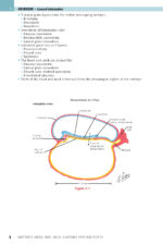 NETTER’S HEAD and NECK ANATOMY for DENTISTRY 2025 (FOURTH EDITION) - Image 5